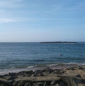 Meet your Posher, Wil